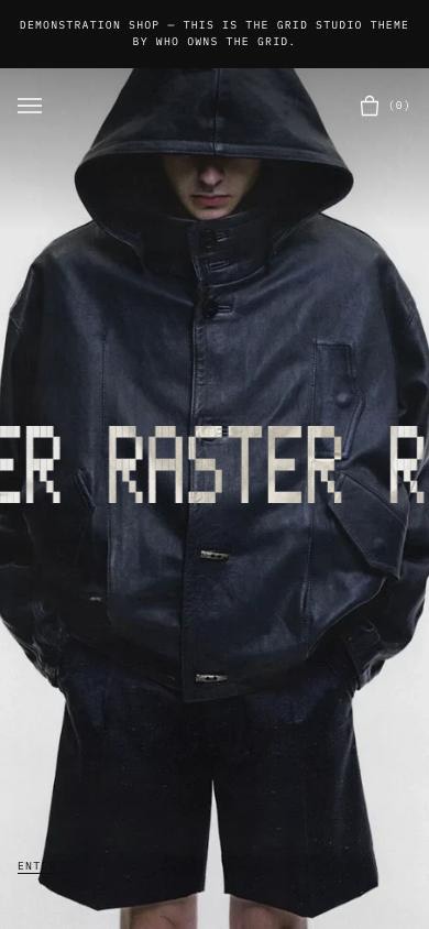 RASTER, home page on a phone